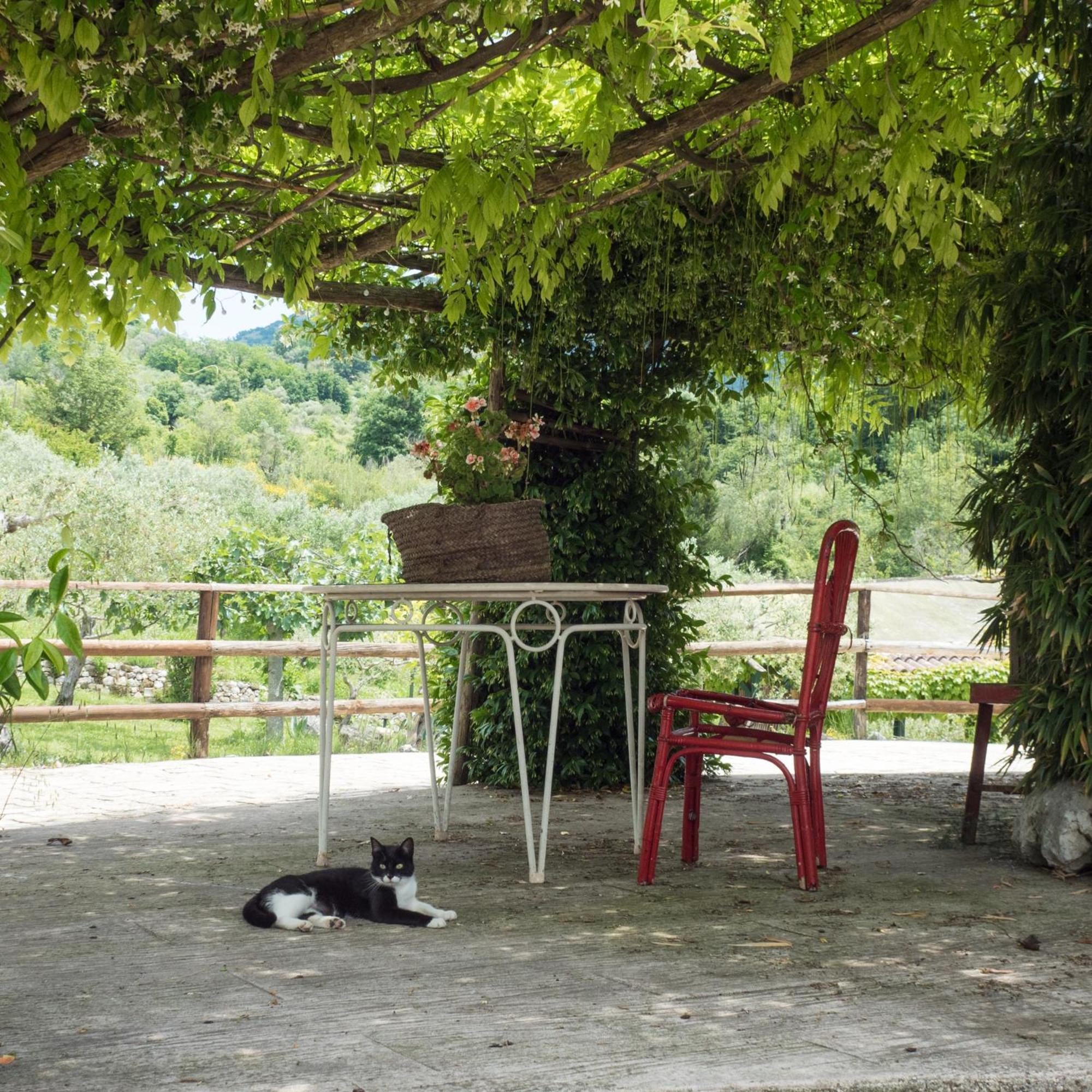 Villa de Luccheri Frasso Telesino Exterior foto
